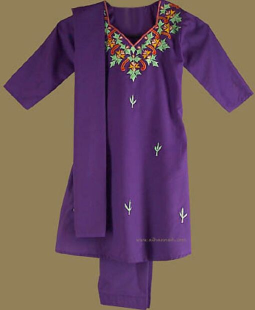 Traditional Girl's Embroidered Salwar Kameez ch308