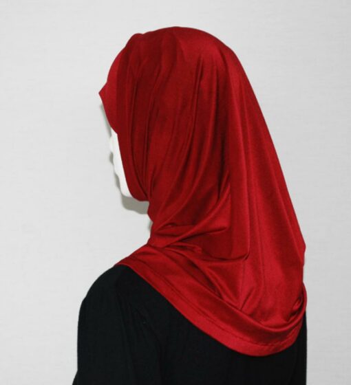 Lycra Al Amirah Shoulder Length Hijab hi1713