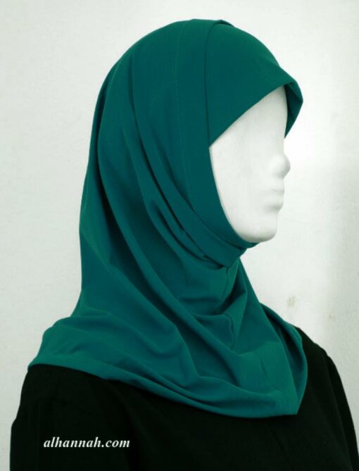 Lycra Al Amirah Shoulder Length Hijab hi1924