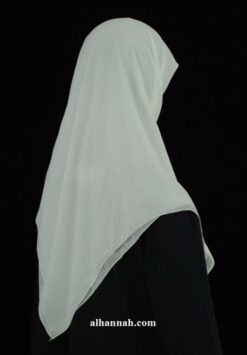 Solid Color Georgette Hijab hi1949