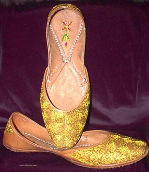 Women's Classic Punjabi Shoes sk687